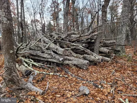 Hinkle Mountain Rd/ Deep Spring Rd, Petersburg, WV 26847 photo 36
