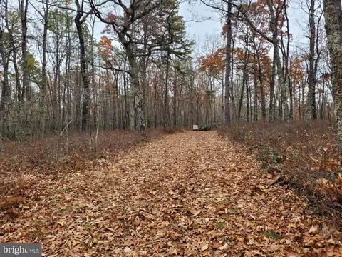Hinkle Mountain Rd/ Deep Spring Rd, Petersburg, WV 26847 photo 6