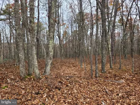 Hinkle Mountain Rd/ Deep Spring Rd, Petersburg, WV 26847 photo 12