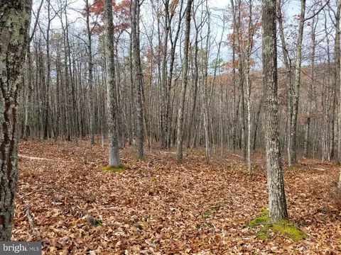 Hinkle Mountain Rd/ Deep Spring Rd, Petersburg, WV 26847 photo 23