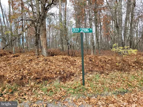 Hinkle Mountain Rd/ Deep Spring Rd, Petersburg, WV 26847 photo 5