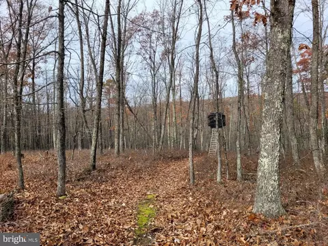 Hinkle Mountain Rd/ Deep Spring Rd, Petersburg, WV 26847 photo 7