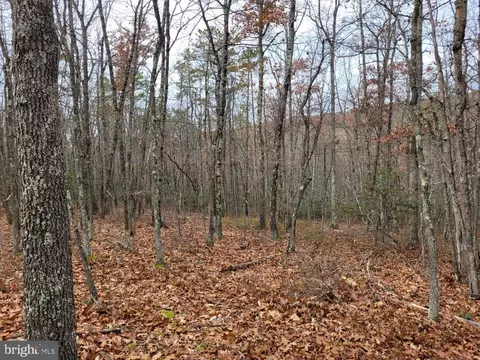Hinkle Mountain Rd/ Deep Spring Rd, Petersburg, WV 26847 photo 24