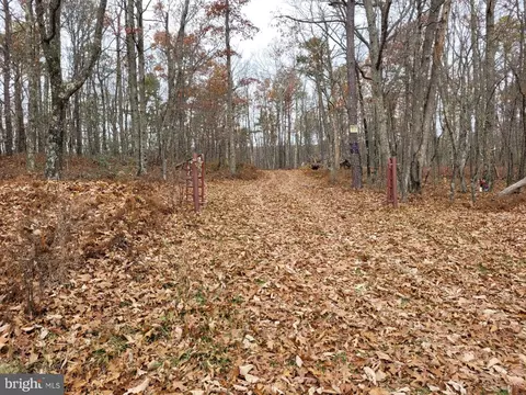 Hinkle Mountain Rd/ Deep Spring Rd, Petersburg, WV 26847 photo 32