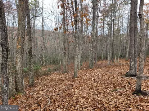Hinkle Mountain Rd/ Deep Spring Rd, Petersburg, WV 26847 photo 8