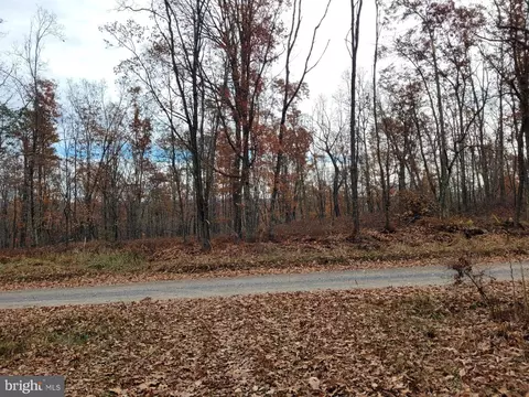Hinkle Mountain Rd/ Deep Spring Rd, Petersburg, WV 26847 photo 46