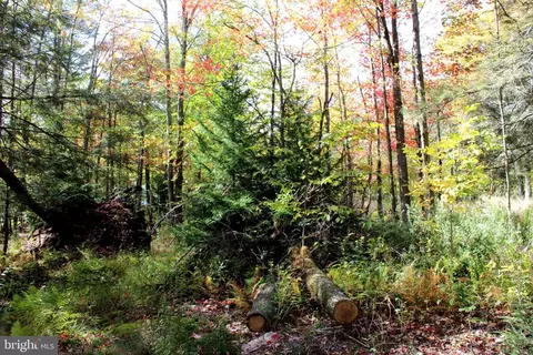 8 Scarlet Cardinal Lane, Mount Storm, WV 26739