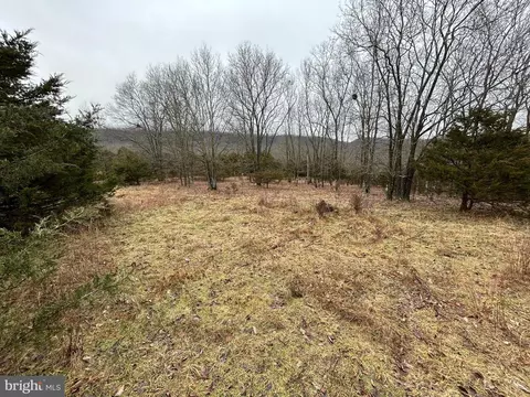 Quantico Trail / Bantry Way, Maysville, WV 26833