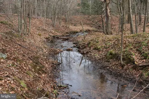 5 03 Ac Lot 4 Sugar Grove Farm Rd, Mount Storm, WV 26739