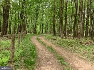 Bismarck/head Road, Mount Storm, WV 26739