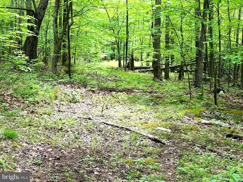 4 Wilderness Dr, Maysville, WV 26833