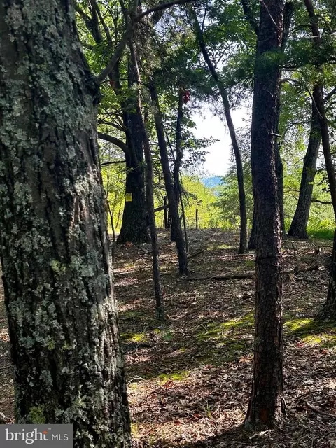 10 93 Ac Nazelrodt-harman Rd, Petersburg, WV 26847