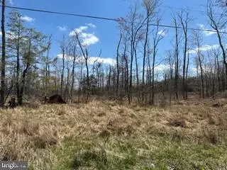 Cherry Ridge Road, Mount Storm, WV 26739