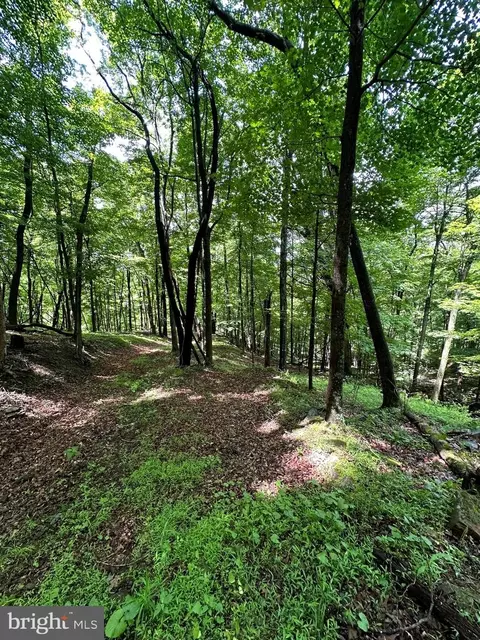 114 Acs Patterson Creek Rd, Lahmansville, WV 26731