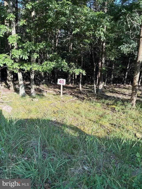 lot40 Berenger Dr, Petersburg, WV 26847