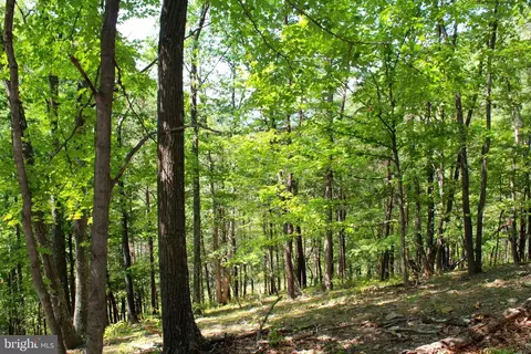 38 Acres Williamsport Rd, Lahmansville, WV 26731