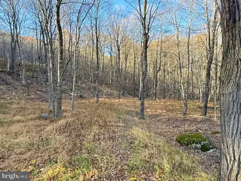 lot38 Monongahela Ln, Maysville, WV 26833