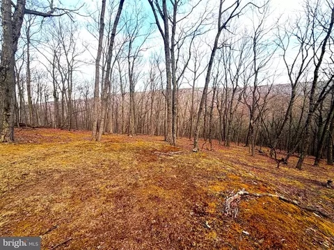 lot5 Preserve Rd, Maysville, WV 26833