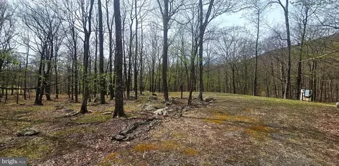 goldenseal road LOT 46, Maysville, WV 26833