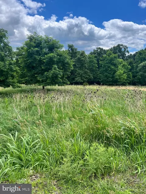 3295 Welton Orchard Rd, Petersburg, WV 26847