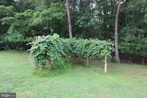 524 High Knob Rd, Old Fields, WV 26845 photo 14
