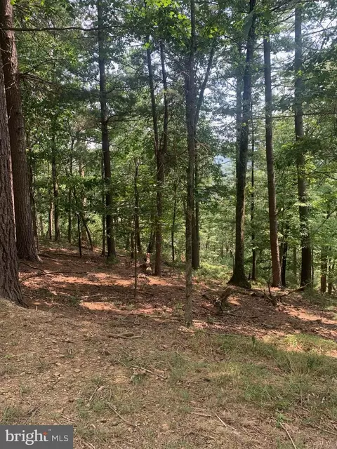 220 Mountain Laurel Ln, Baker, WV 26801