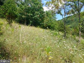 Lot 48 Highland Springs Rd., Old Fields, WV 26845