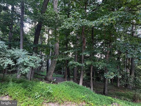 40 High Knob, Old Fields, WV 26845