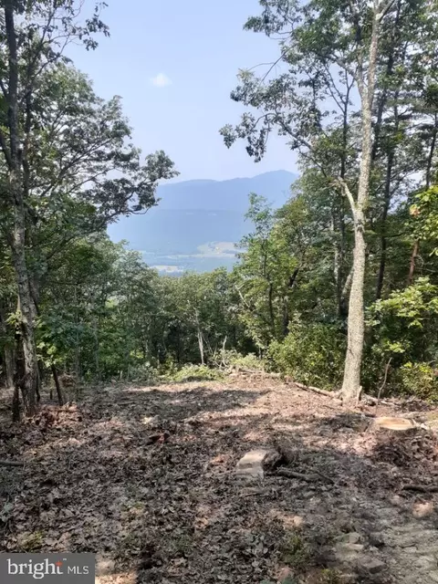Lot 353 Nathanial Mountain Road, Moorefield, WV 26836