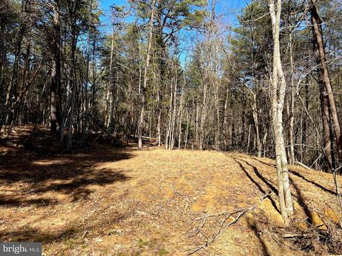 43 Warden Hollow West Road, Wardensville, WV 26851