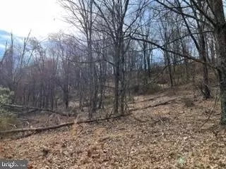 49 76 Acres Ewing Dr, Baker, WV 26801