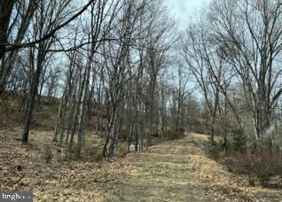 Tract A Ewing Drive, Baker, WV 26801