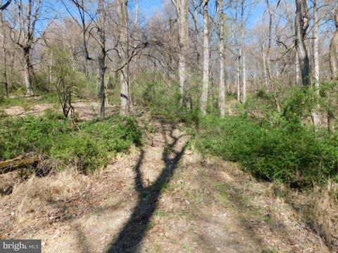 62 Timberline Drive, Lost River, WV 26810
