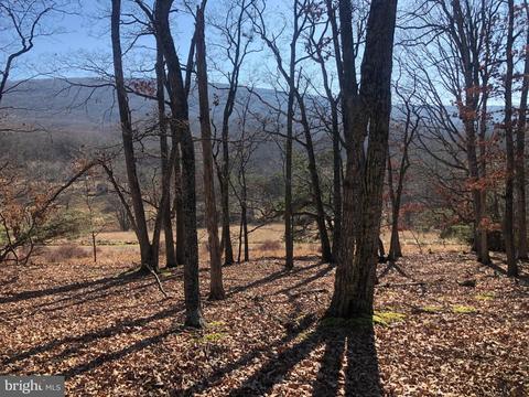 22 Meadow Hls, Baker, WV 26801