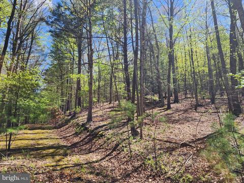 Lot 16-a Lost River Mountain / Wits End, Mathias, WV 26812