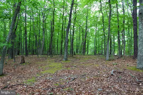 14 Ac High Knob Rd, Old Fields, WV 26845 photo 19