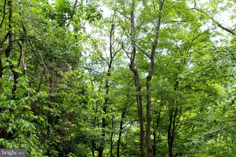 14 Ac High Knob Rd, Old Fields, WV 26845 photo 16