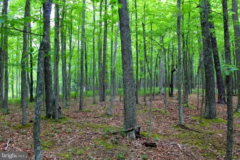 14 Ac High Knob Rd, Old Fields, WV 26845 photo 6