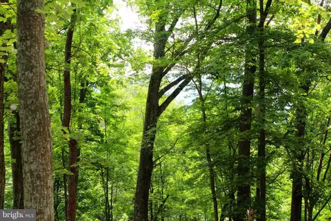 14 Ac High Knob Rd, Old Fields, WV 26845 photo 3