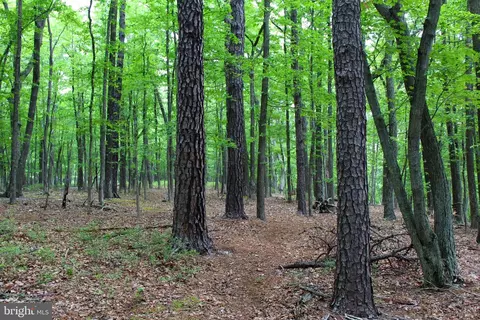 14 Ac High Knob Rd, Old Fields, WV 26845 photo 11