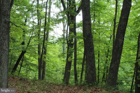 14 Ac High Knob Rd, Old Fields, WV 26845 photo 9