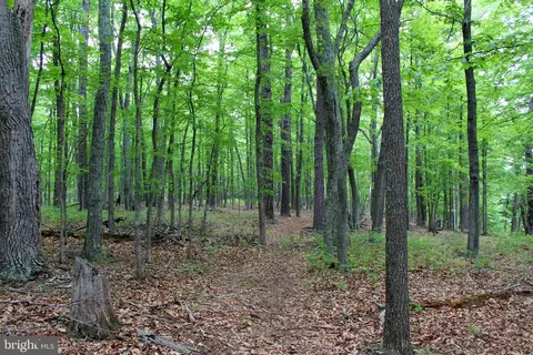 14 Ac High Knob Rd, Old Fields, WV 26845 photo 8