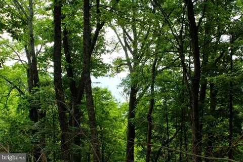 14 Ac High Knob Rd, Old Fields, WV 26845 photo 13