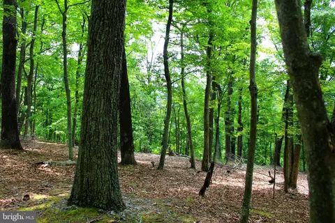 14 Ac High Knob Rd, Old Fields, WV 26845 photo 12