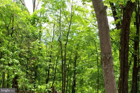 14 Ac High Knob Rd, Old Fields, WV 26845 photo 5