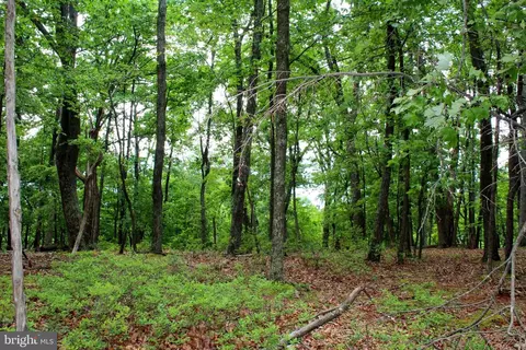 14 Ac High Knob Rd, Old Fields, WV 26845 photo 7