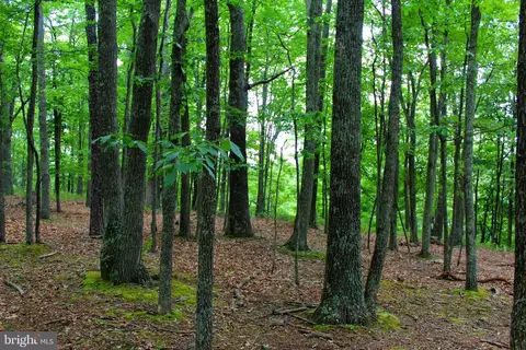 14 Ac High Knob Rd, Old Fields, WV 26845 photo 4