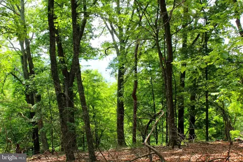 14 Ac High Knob Rd, Old Fields, WV 26845 photo 18