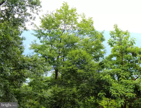 14 Ac High Knob Rd, Old Fields, WV 26845 photo 2