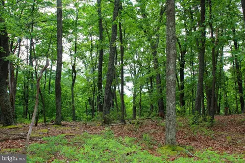 14 Ac High Knob Rd, Old Fields, WV 26845 photo 17